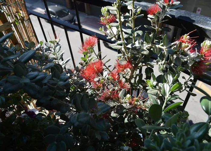 Via Dante Luxury Bari