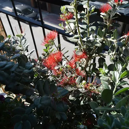 Via Dante Luxury باري